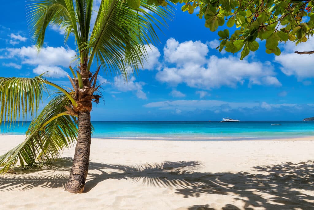 Sunny White Sand Beach With Coconut Palm And Turquoise Sea. Summ